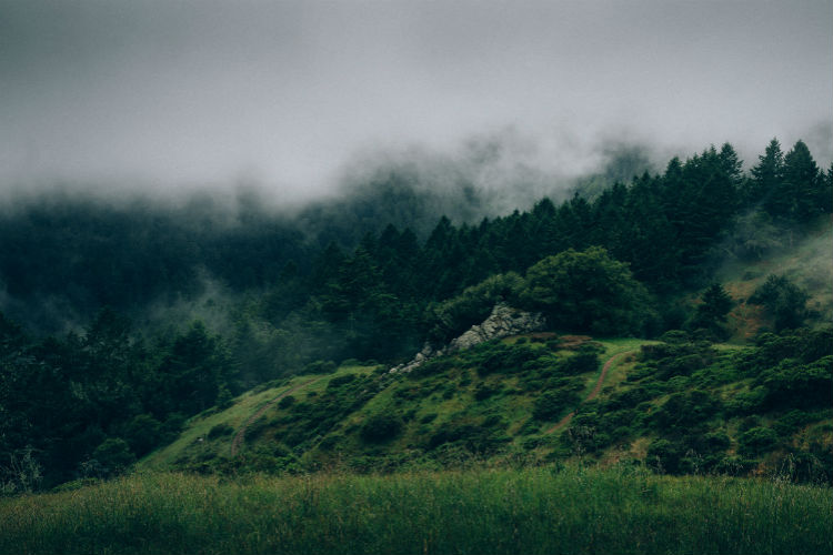 ddos压力测试网页端